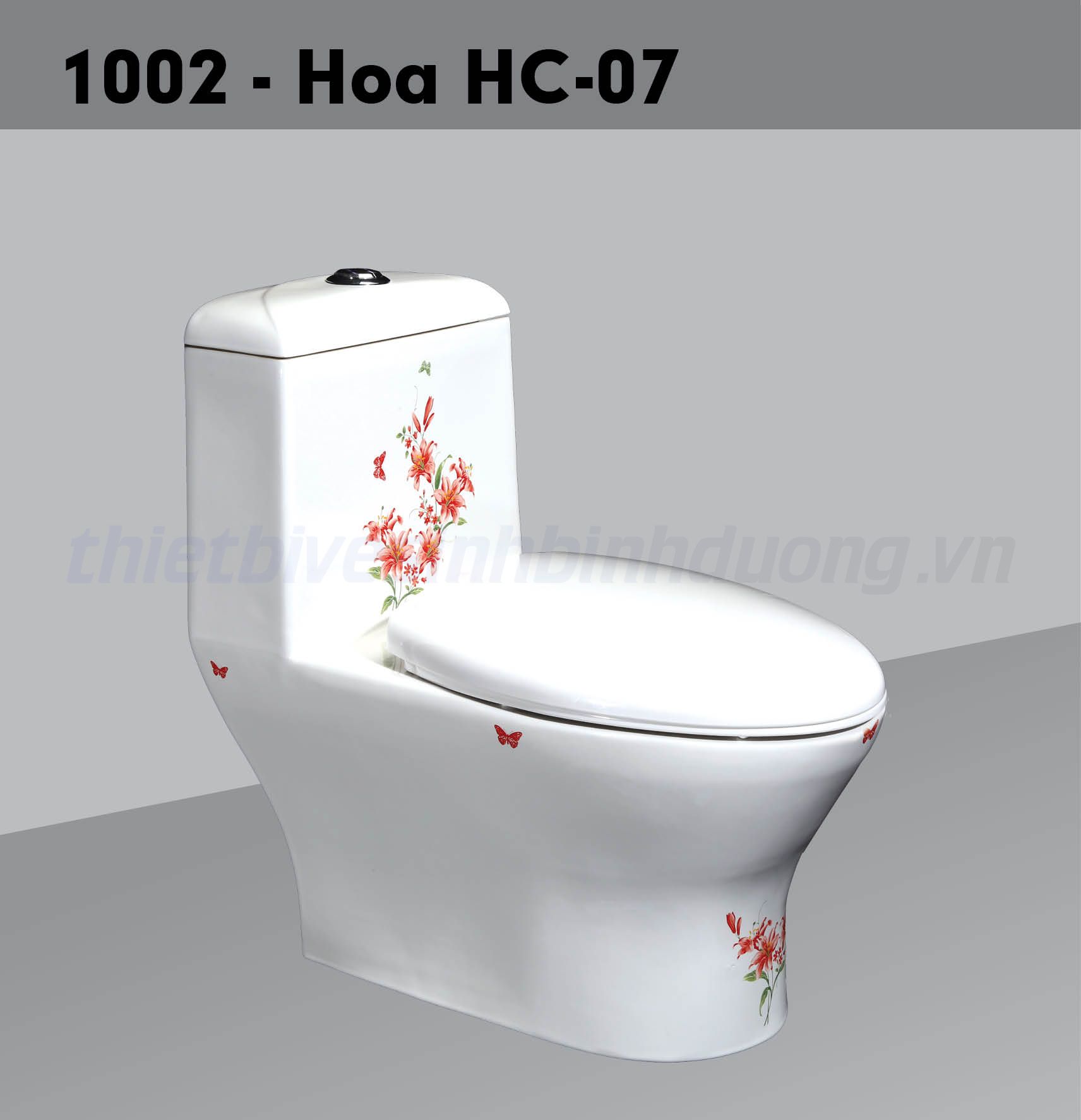 Bồn cầu sứ Hảo Cảnh HC 1002